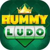 Rummy 51 App
